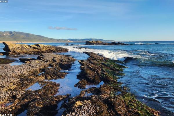 Rugged Kitchen Monitor